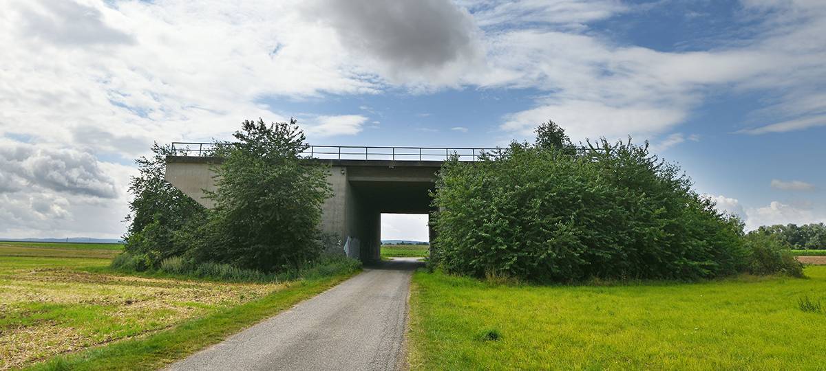 Duisburg im "Schwarzbuch" vom Bund der Steuerzahler