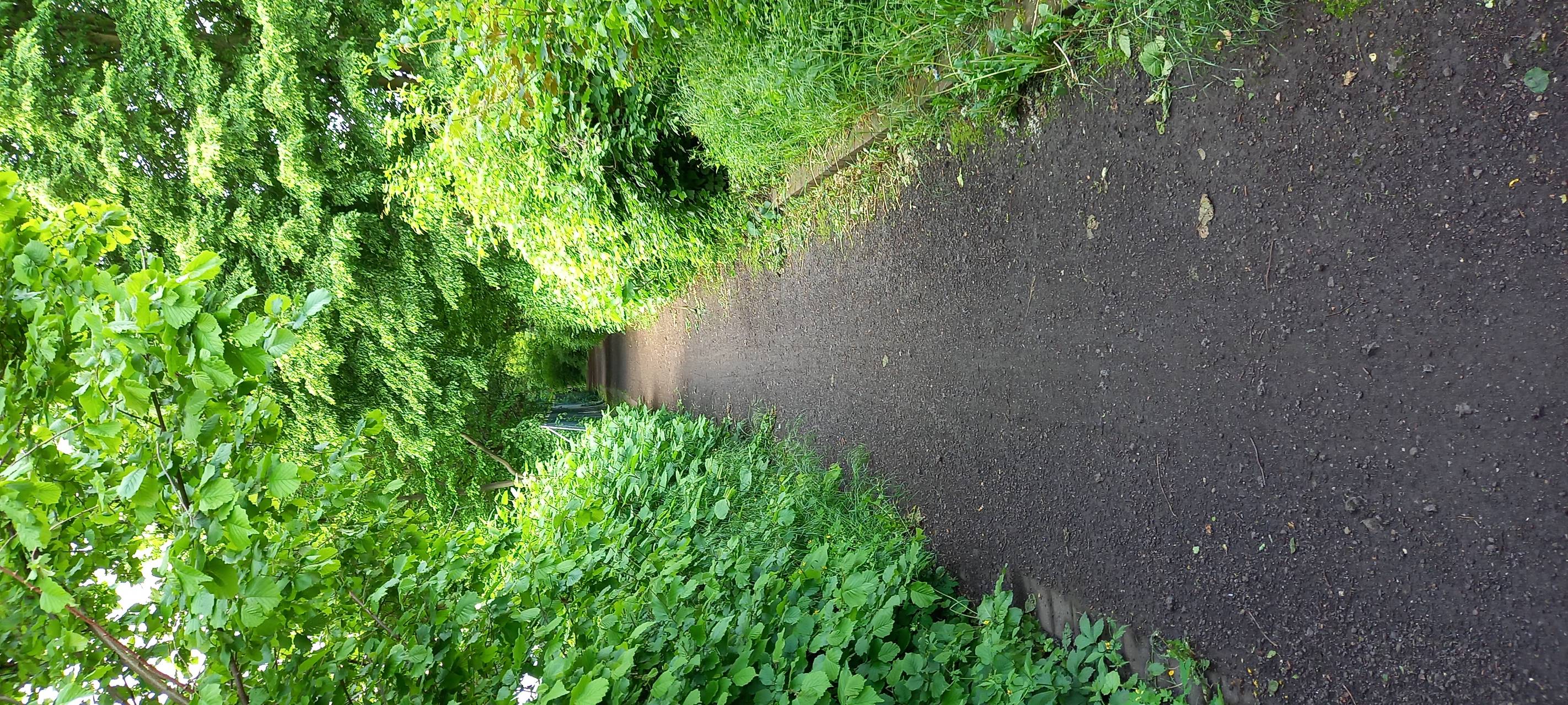 Wanderung durch Duisburg