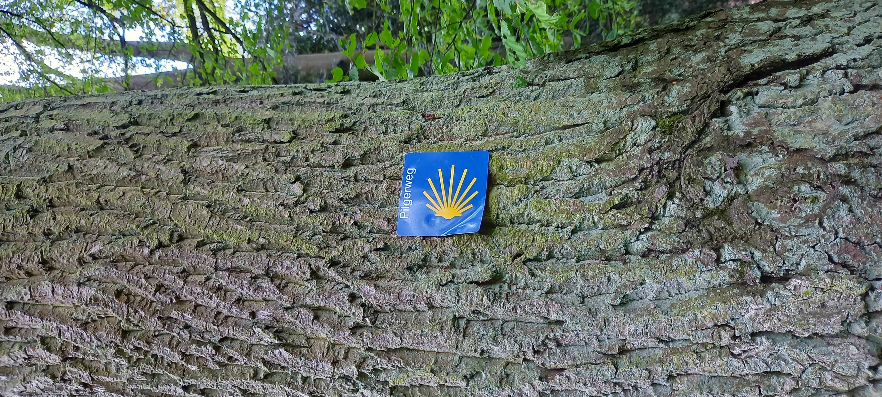 Wanderung durch Duisburg