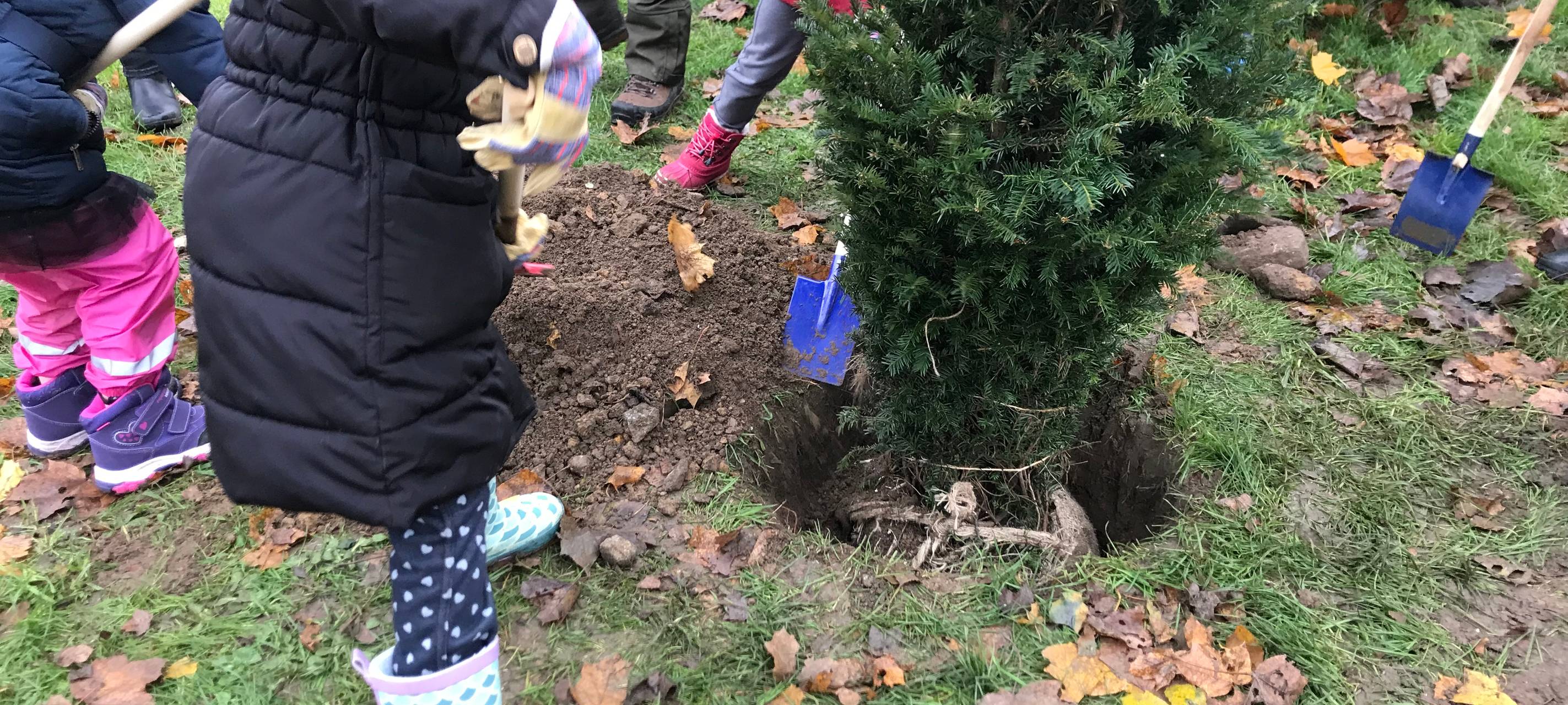 Duisburg Neuenkamp: Allee der Jahresbäume bekommt Zuwachs
