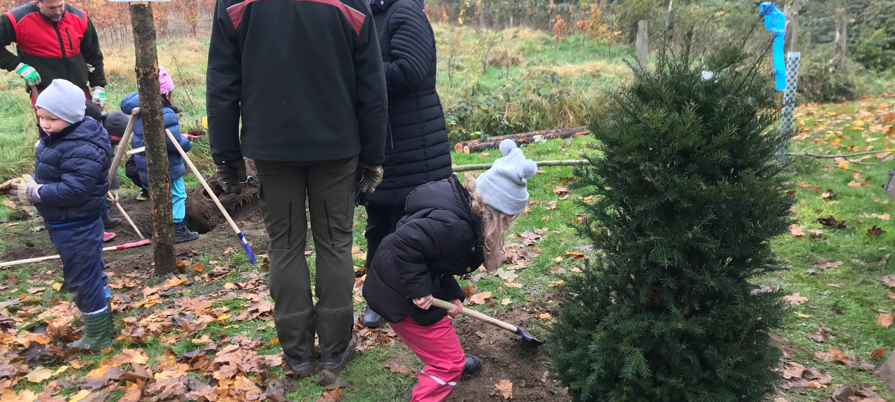 Duisburg Neuenkamp: Allee der Jahresbäume bekommt Zuwachs