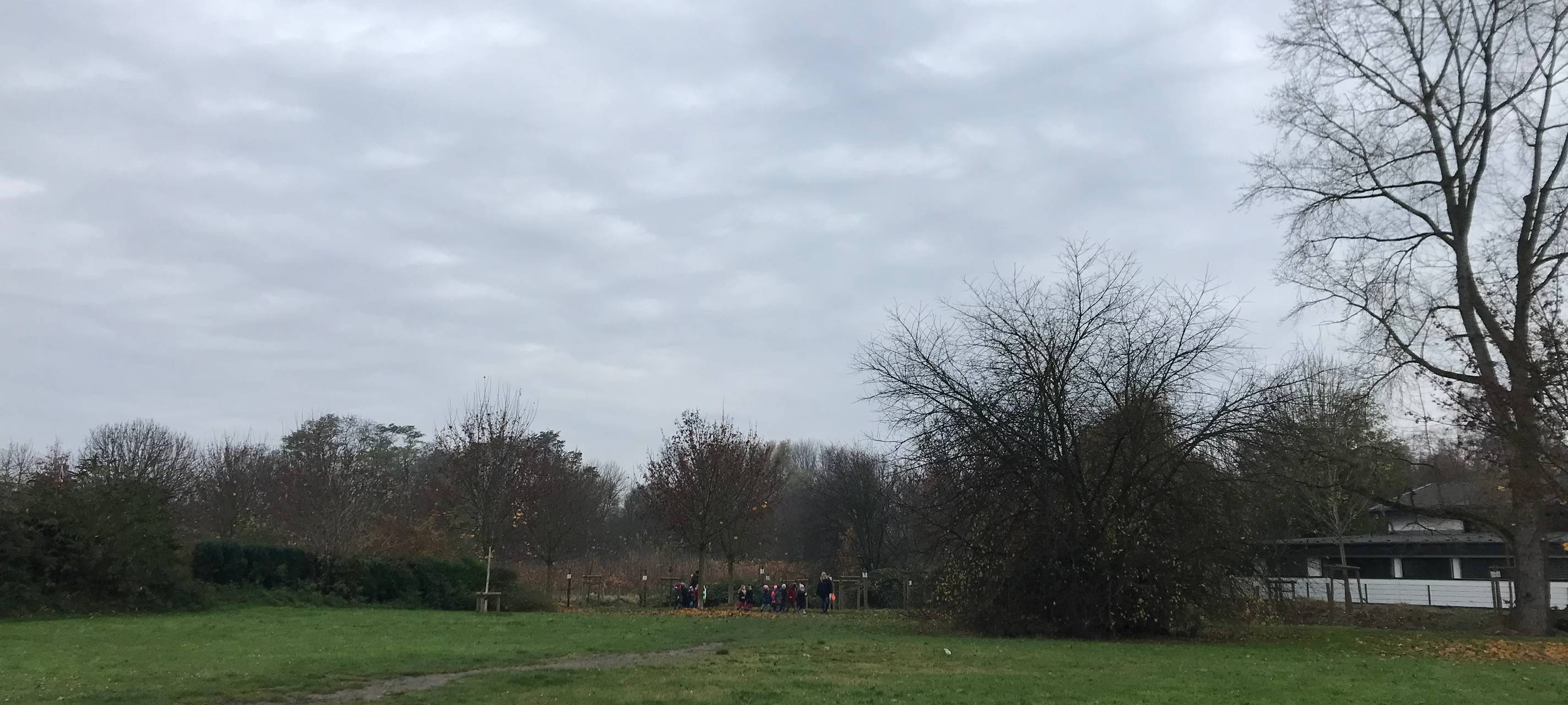 Duisburg Neuenkamp: Allee der Jahresbäume bekommt Zuwachs