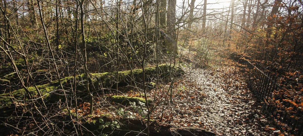 Führungen und Touren durch Duisburg