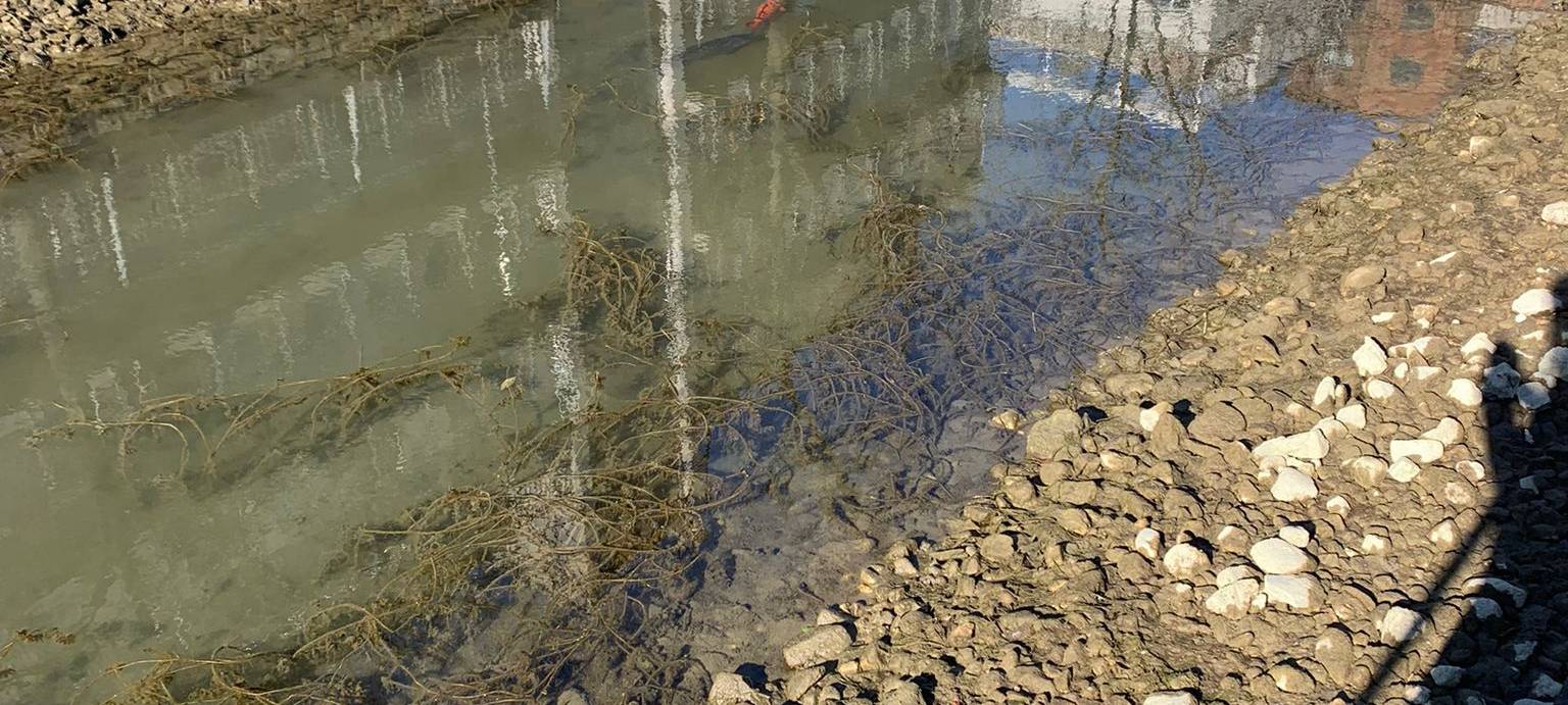 Extrem niedriger Wasserstand am Innenhafen