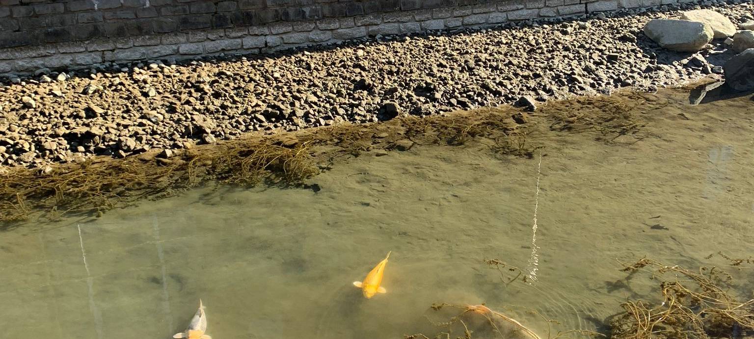 Grachten im Duisburger Innenhafen werden saniert