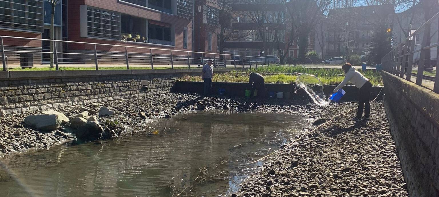 Extrem niedriger Wasserstand am Innenhafen