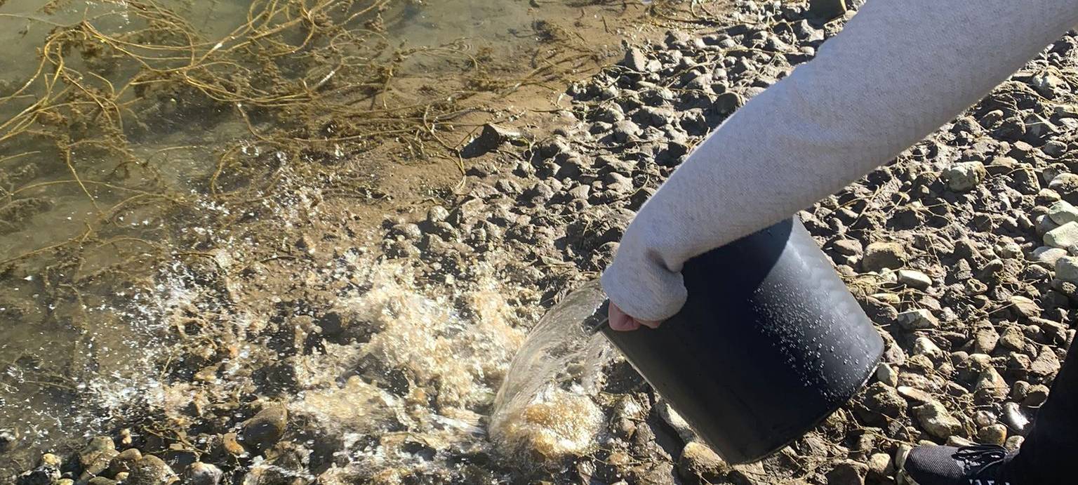 Extrem niedriger Wasserstand am Innenhafen