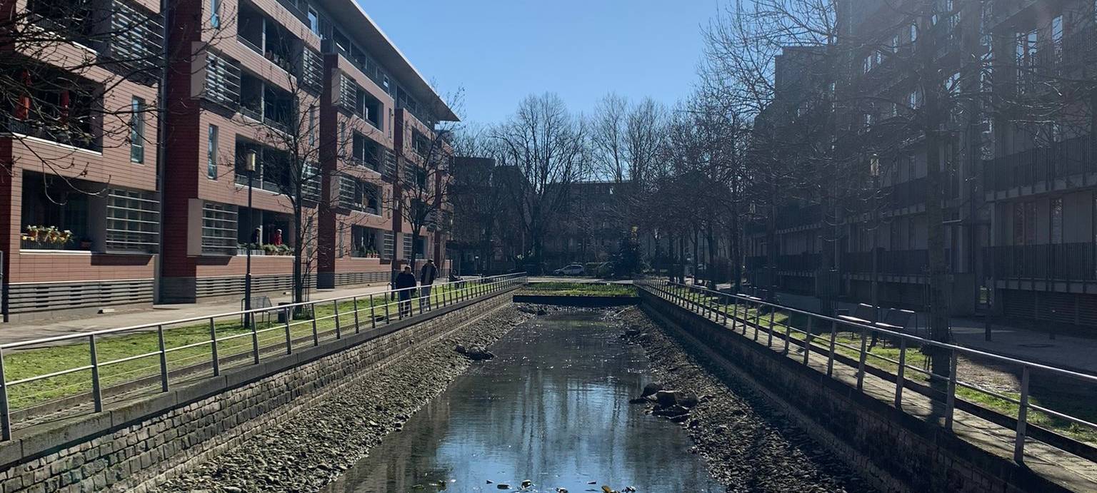 Extrem niedriger Wasserstand am Innenhafen