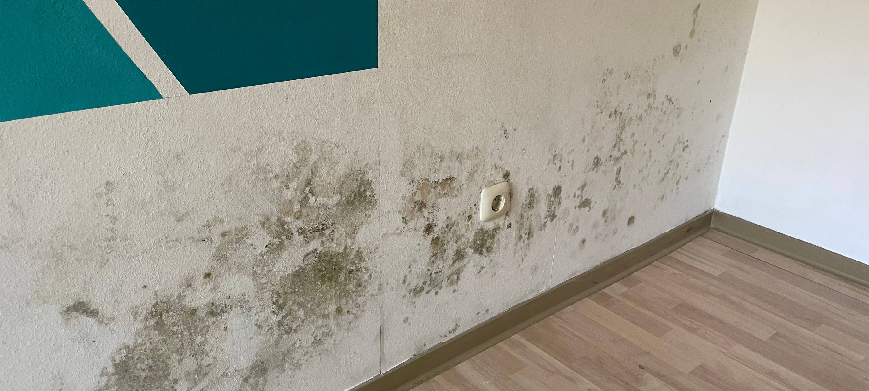 Duisburger Mieter ärgern sich über die LEG