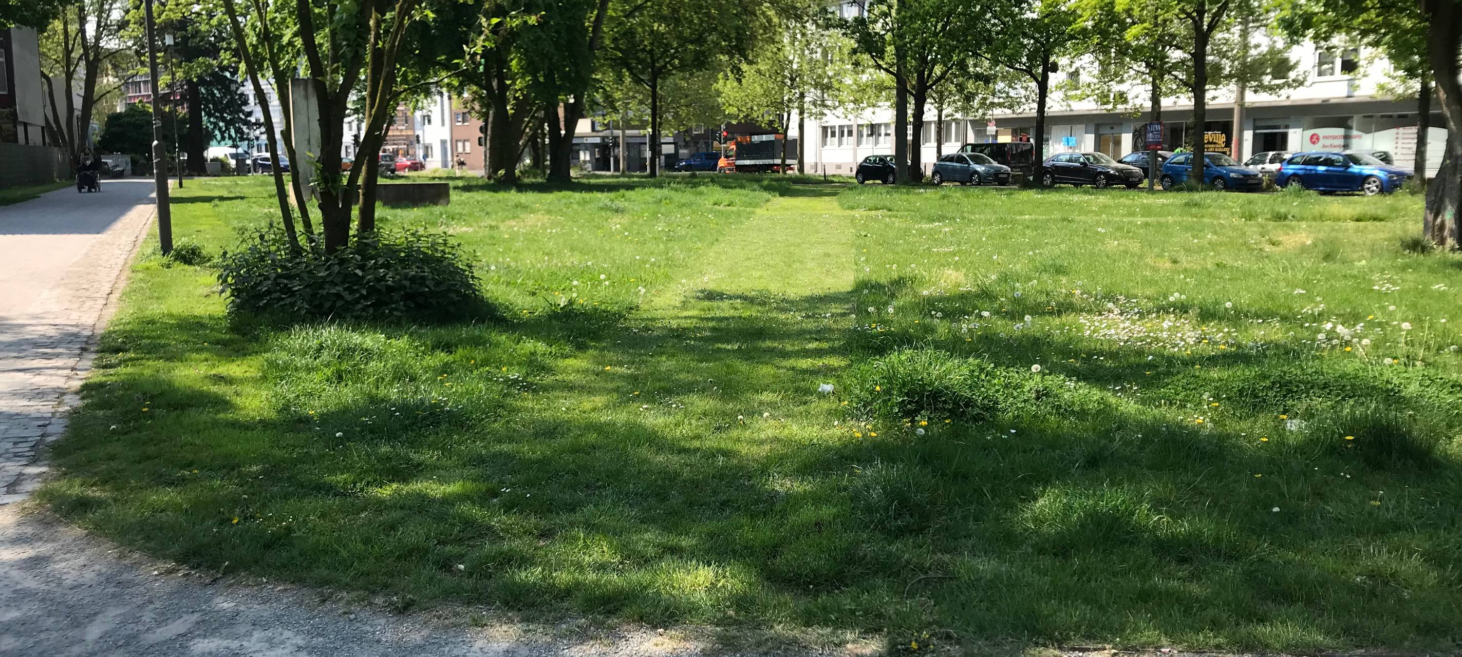 "Duisburg summt": Insektenfreundliche Wiesen im Kantpark