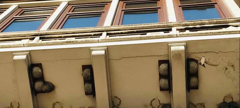 Schwalben in Ruhrort