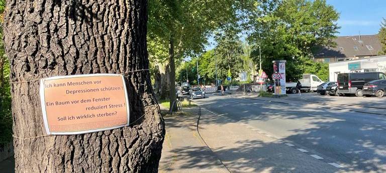 Grüne sammeln Unterschriften für Erhalt von Bäumen in Wedau