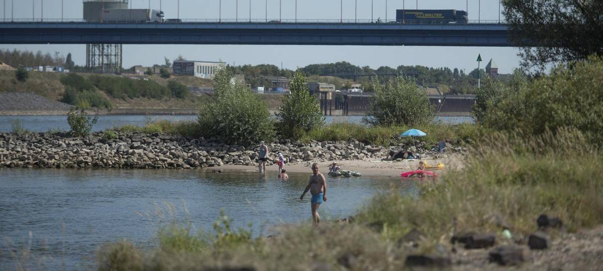 Tödlicher Badeunfall im Rhein: DLRG fordert Konsequenzen