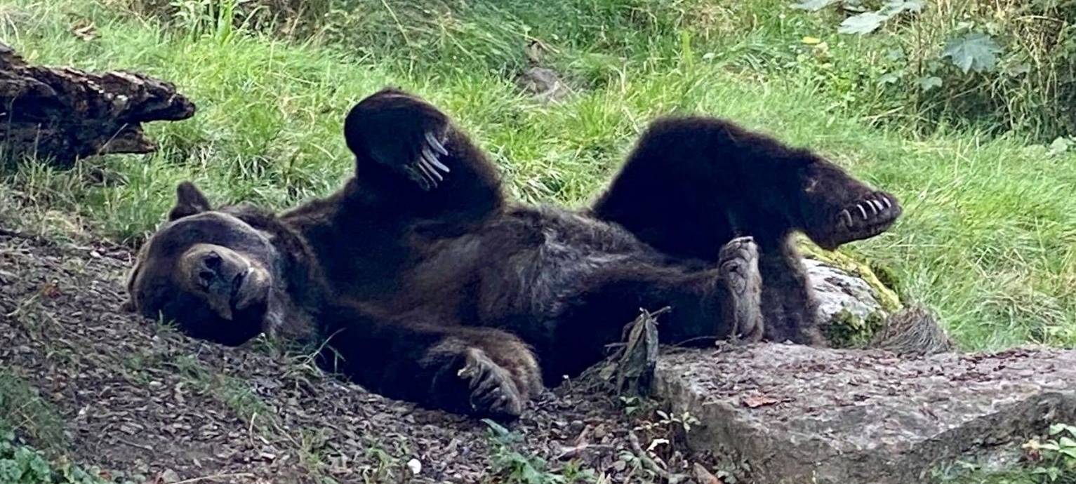 Hin und weg - Die besten Orte für die Ferien
