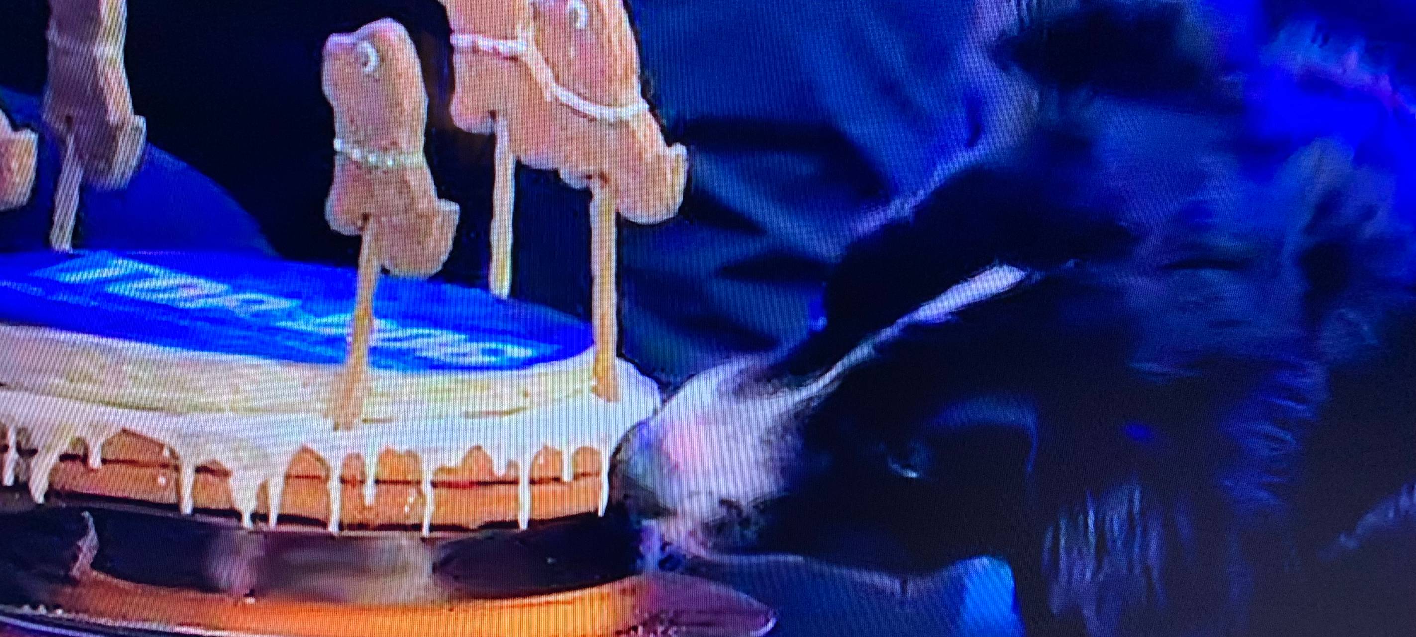 Melanie und Trouble gewinnen wieder RTL Show Top Dog Germany