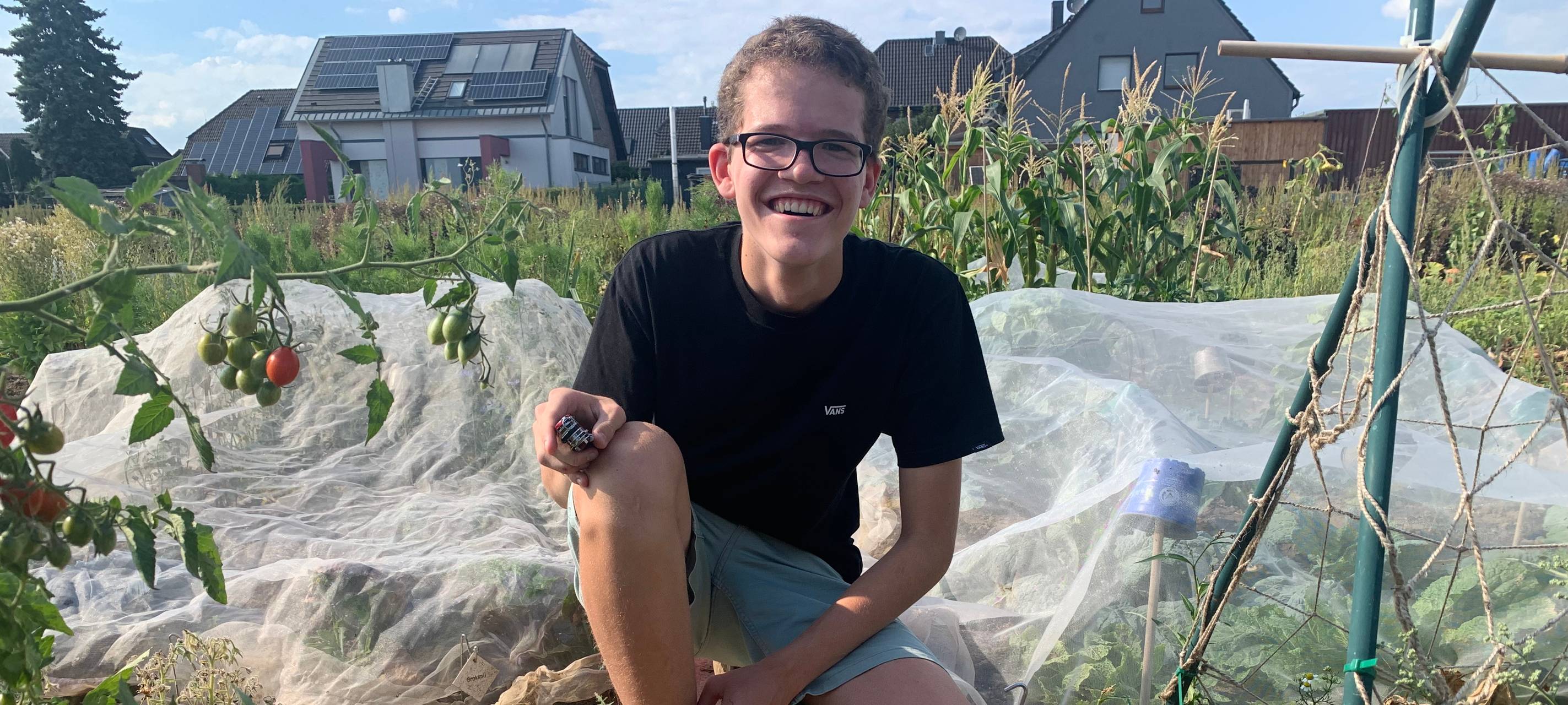 Duisburg: Honigmelone aus dem Mietgarten