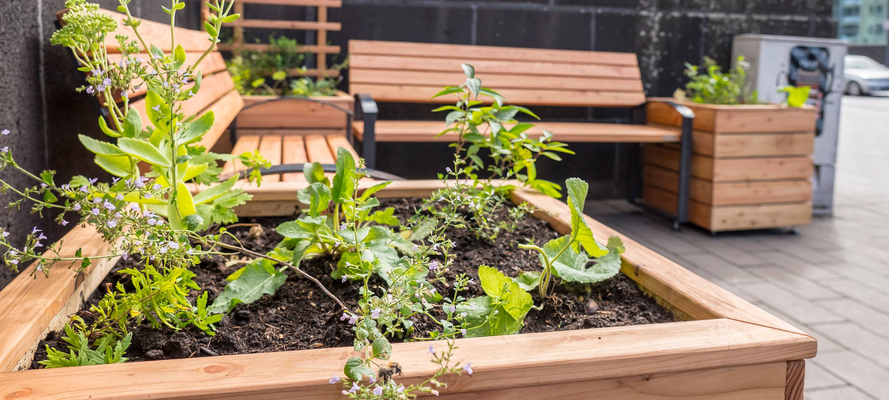 Grüne Bänke für den Klimaschutz in Duisburg