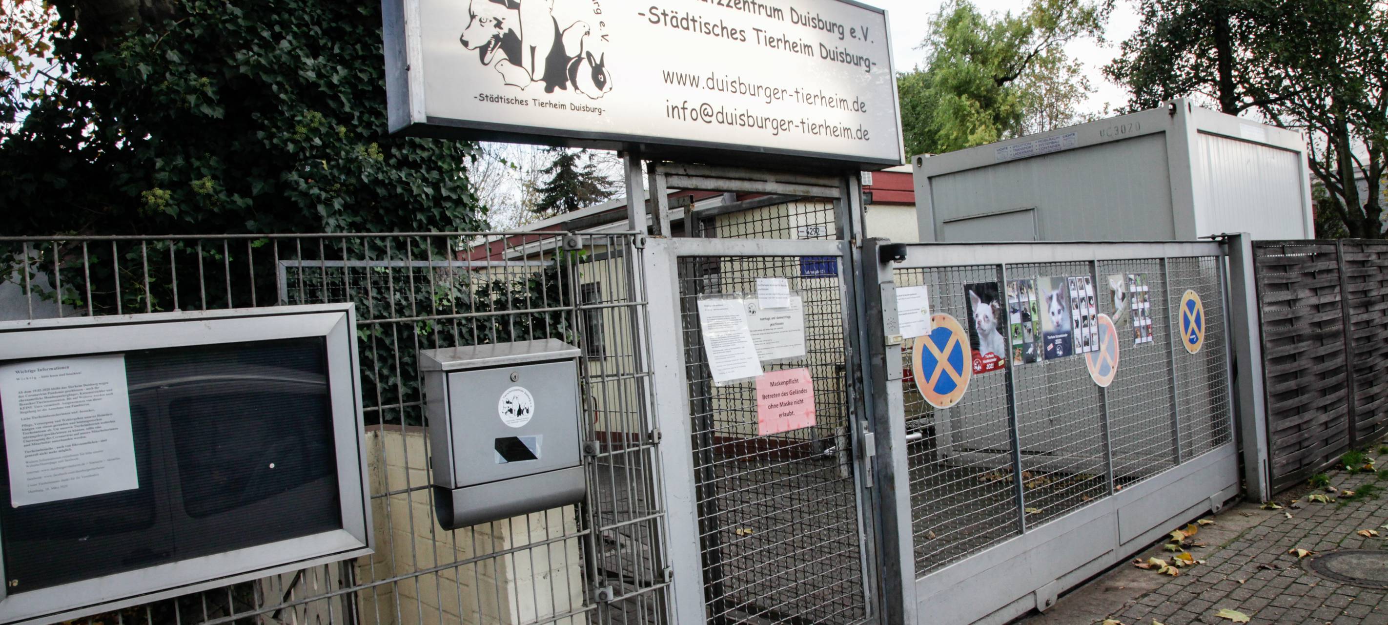 So lief es 2025 im Duisburger Tierheim