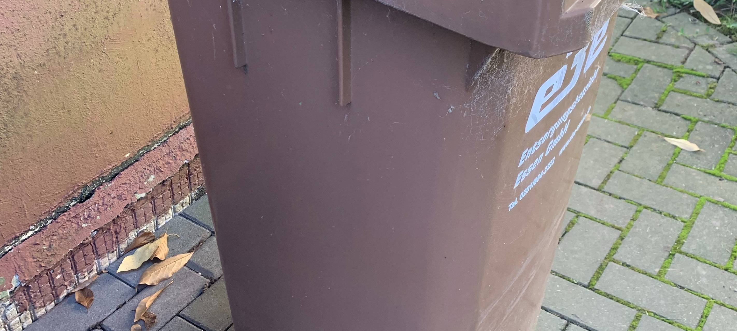 Duisburg startet große Biotonne-Kampagne