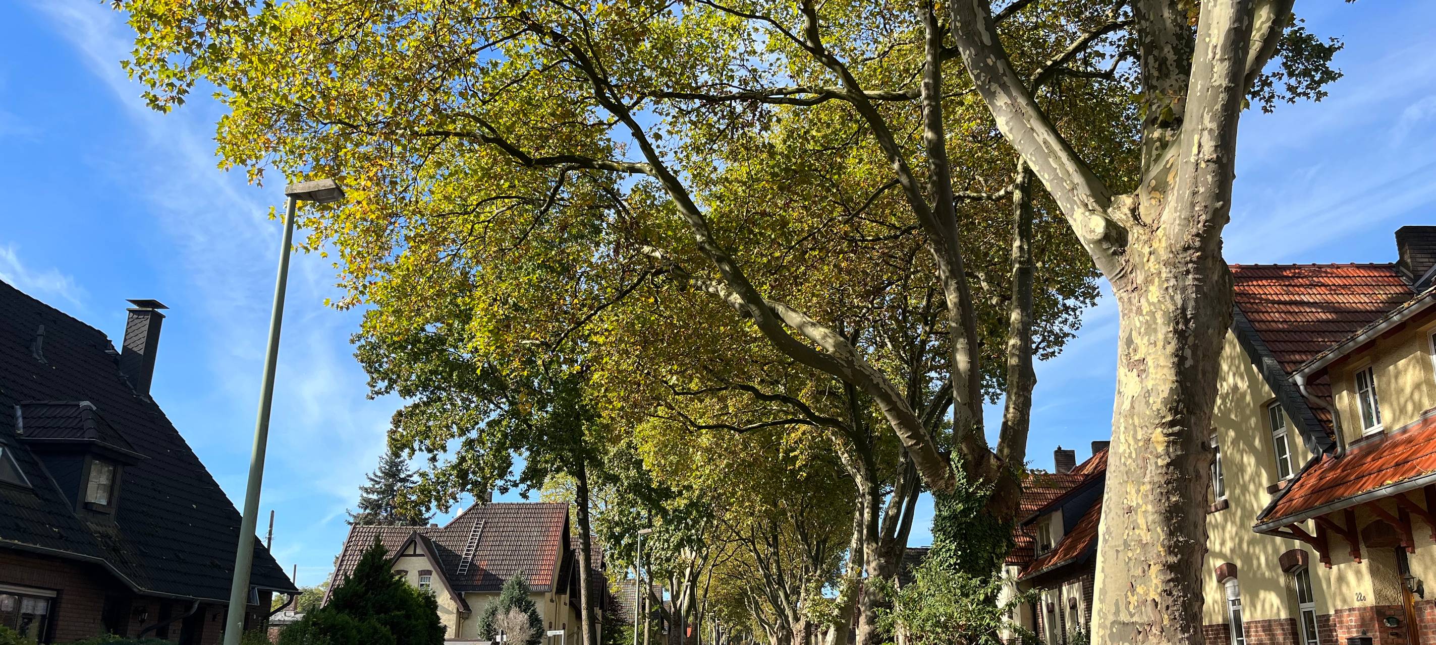 Denkmalschutzärger in Duisburger Zechensiedlung