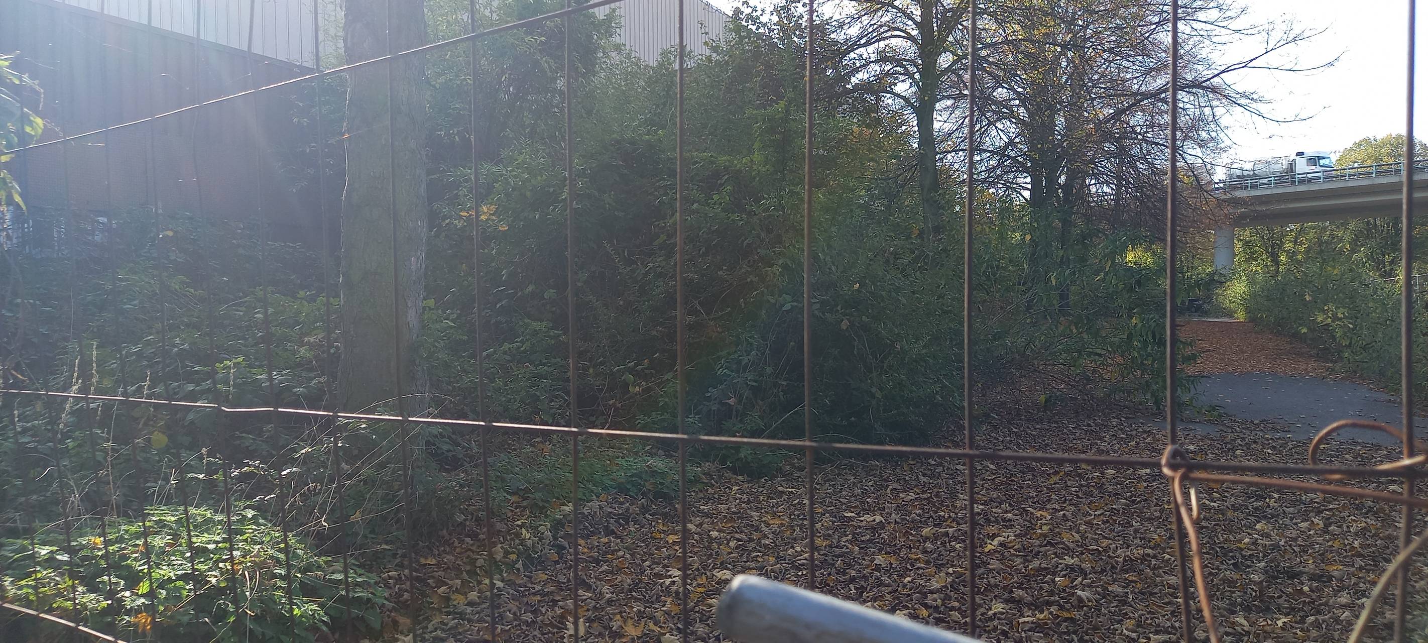 Neue Pläne für die Rhein-Ruhr-Halle in Hamborn