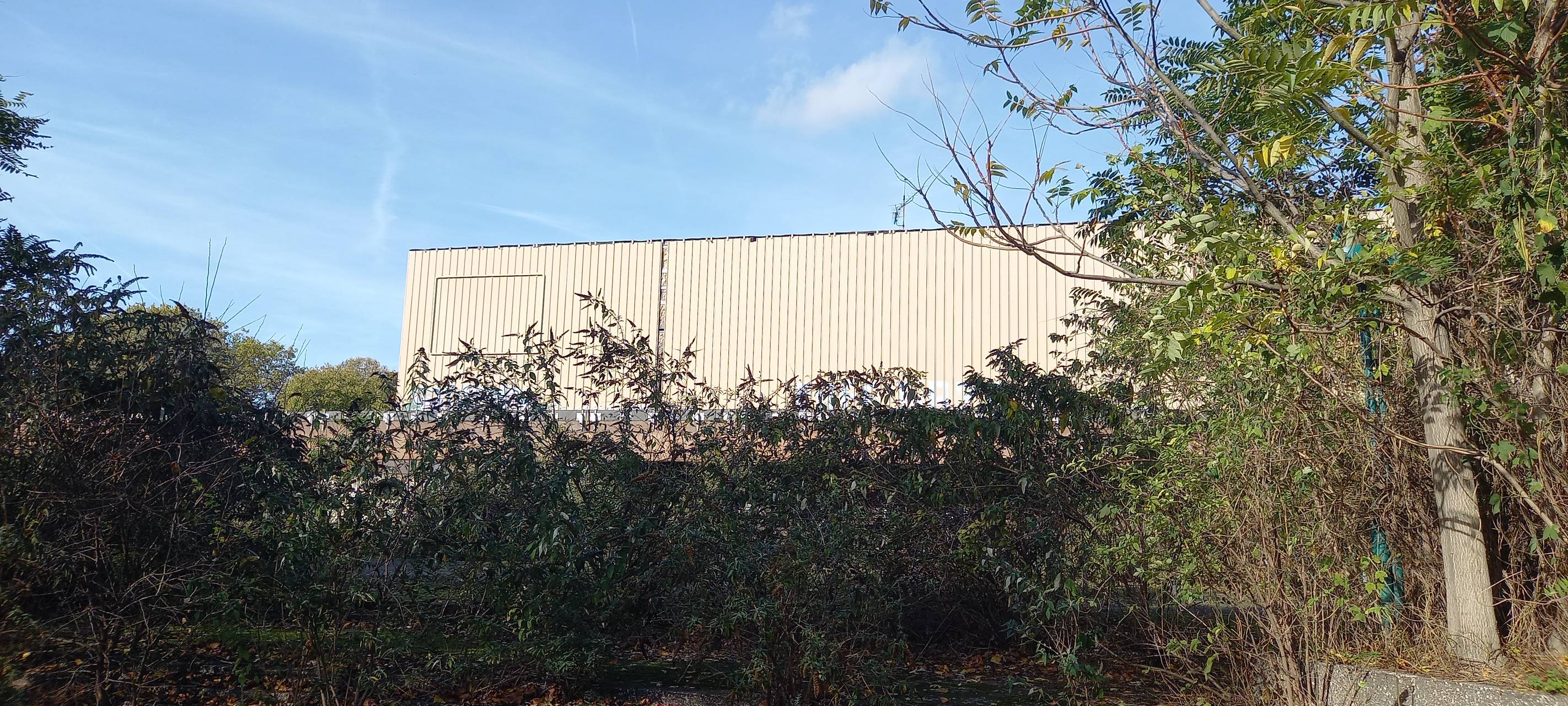 Neue Pläne für die Rhein-Ruhr-Halle in Hamborn