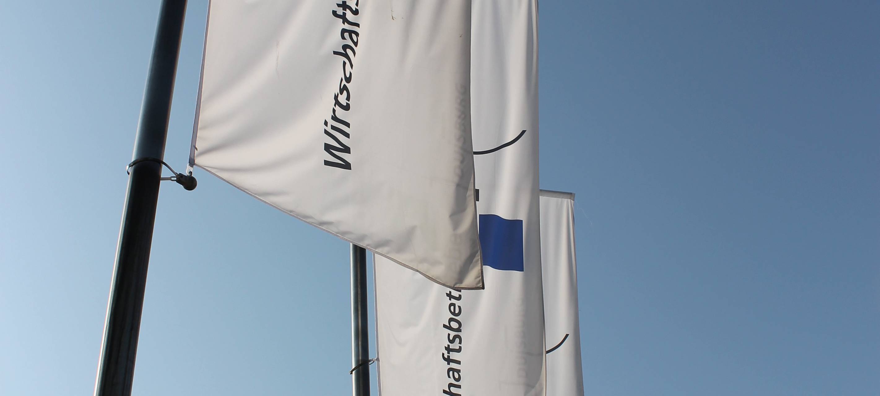 Wirtschaftsbetriebe Duisburg: 508.000 Tonnen Abfall und 1.150 neue Bäume