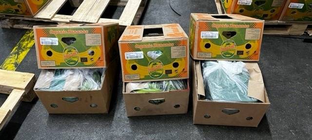 Riesiger Drogenfund: Zoll stellt über 600 Kilo Kokain sicher