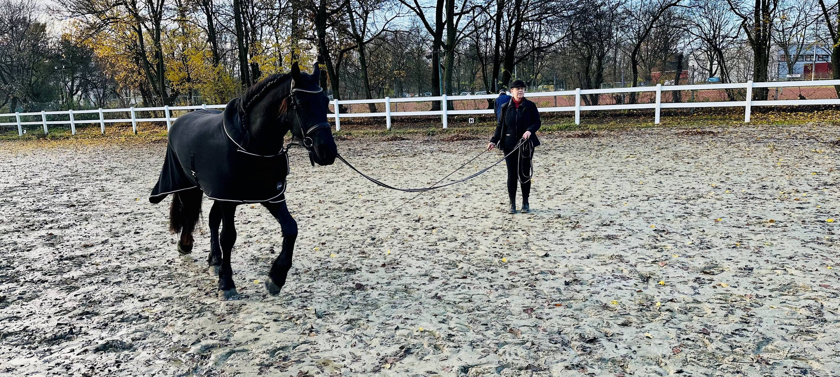 Reittherapeutin Nicole Hocks mit dem neuen Therapiepferd Jesaja