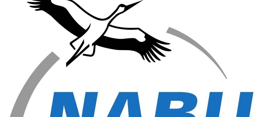 Wenig Schmetterlinge in Duisburg