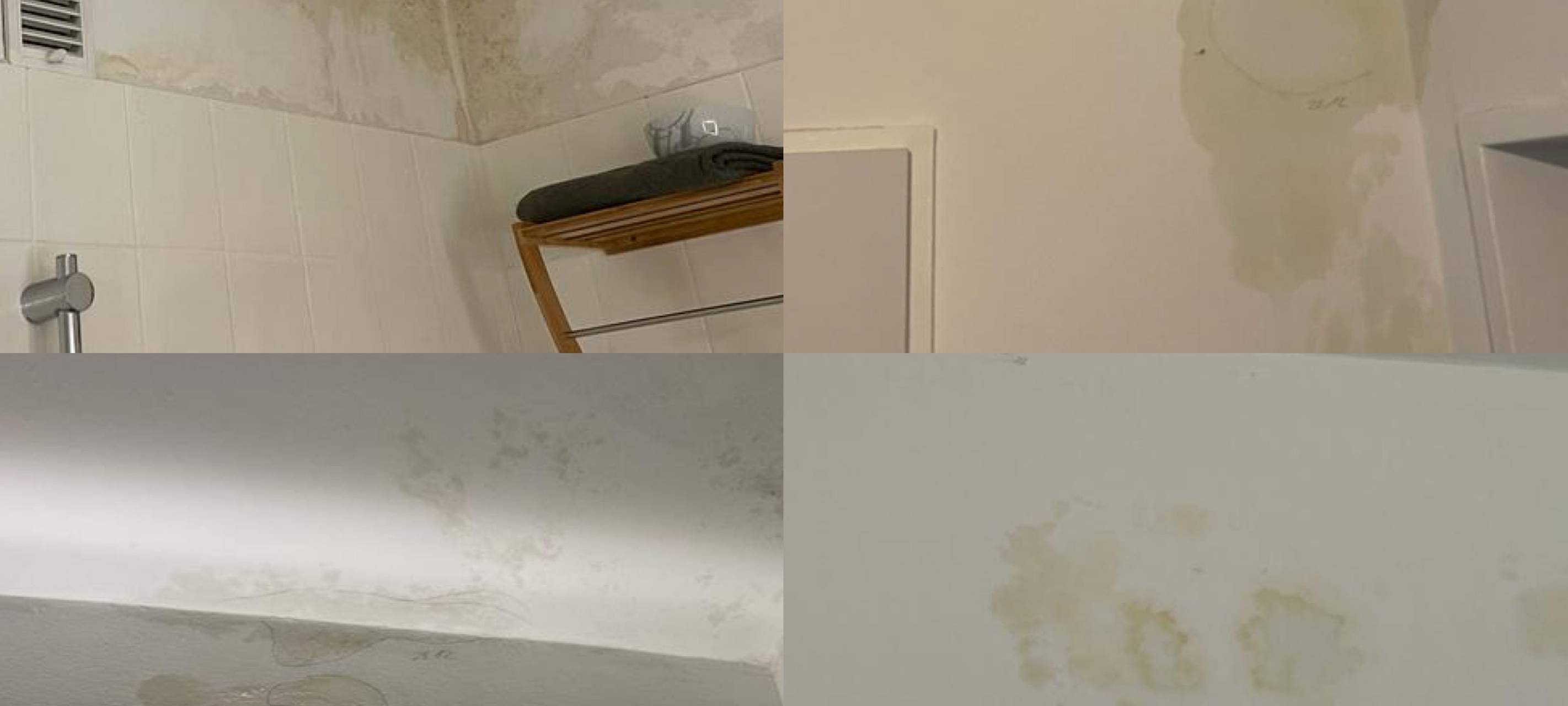 Familie mit drei kleinen Kindern sucht verzweifelt Wohnung