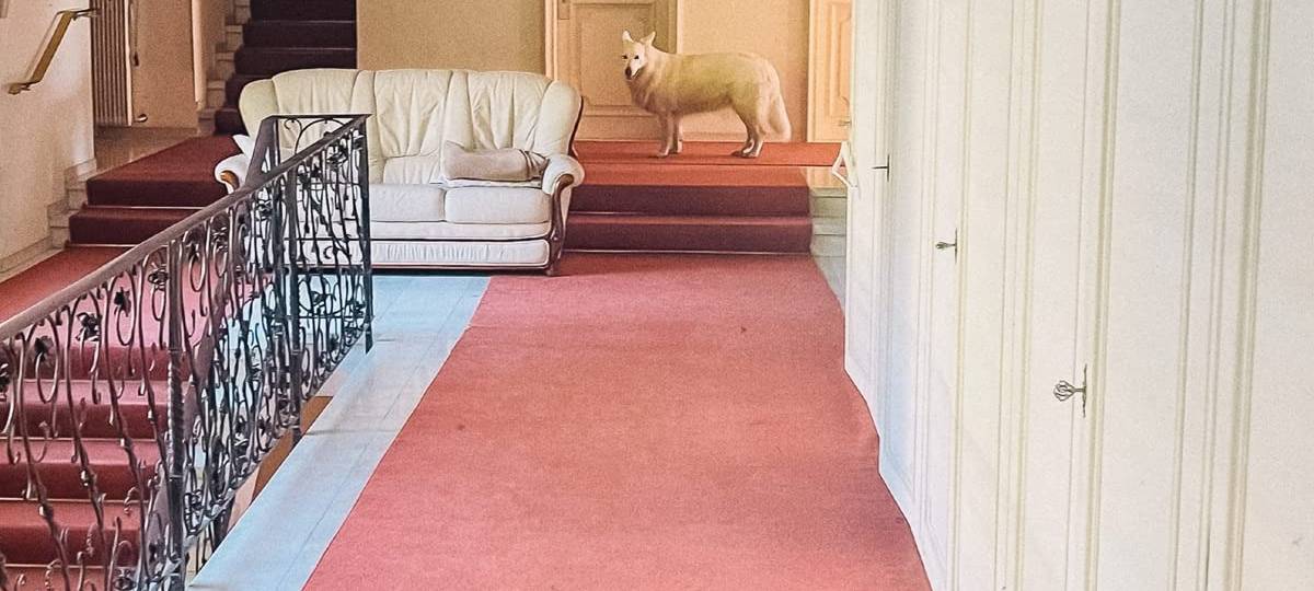 Album der Woche: Die Fantastischen Vier - The Liechtenstein Tapes