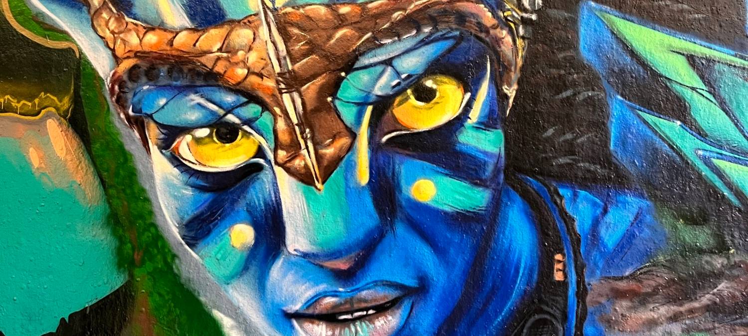 Avatar Graffiti in Duisburg Meiderich