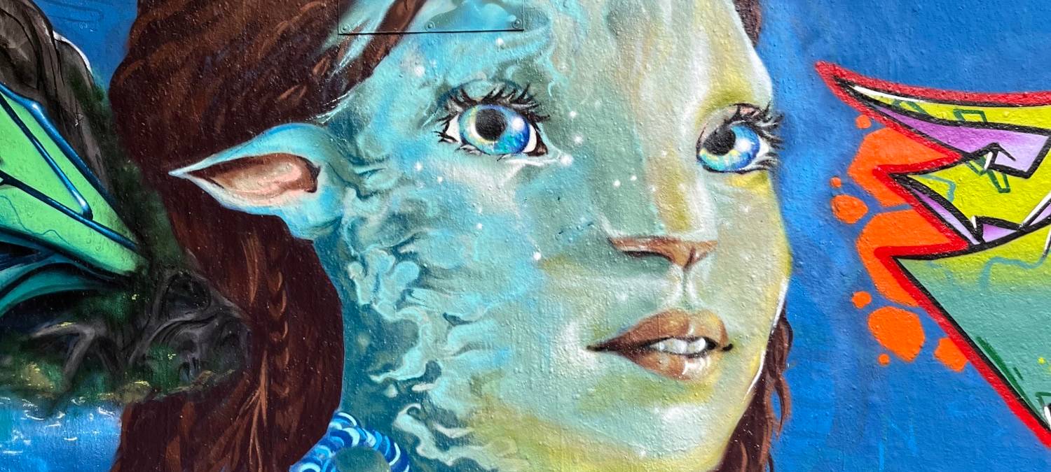 Avatar Graffiti in Duisburg Meiderich