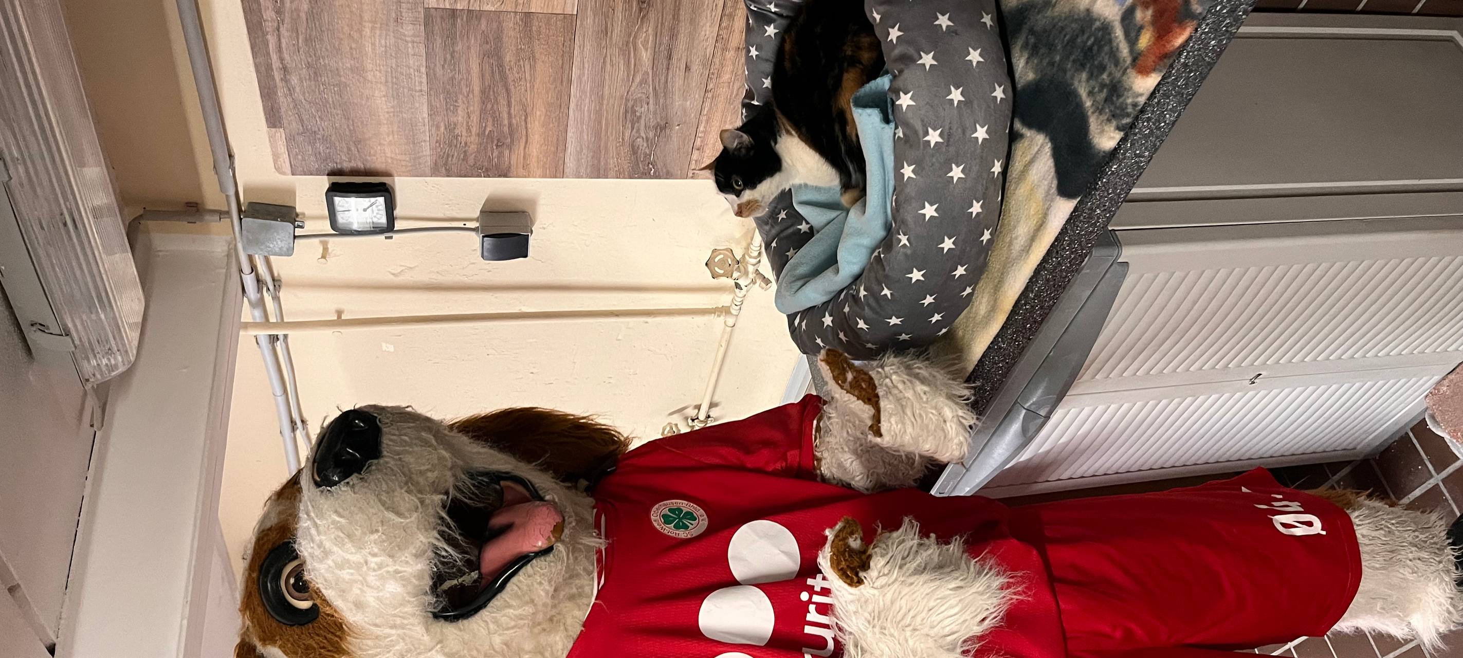 RWO-Fanclub spendet Geld an Duisburger Tierheim