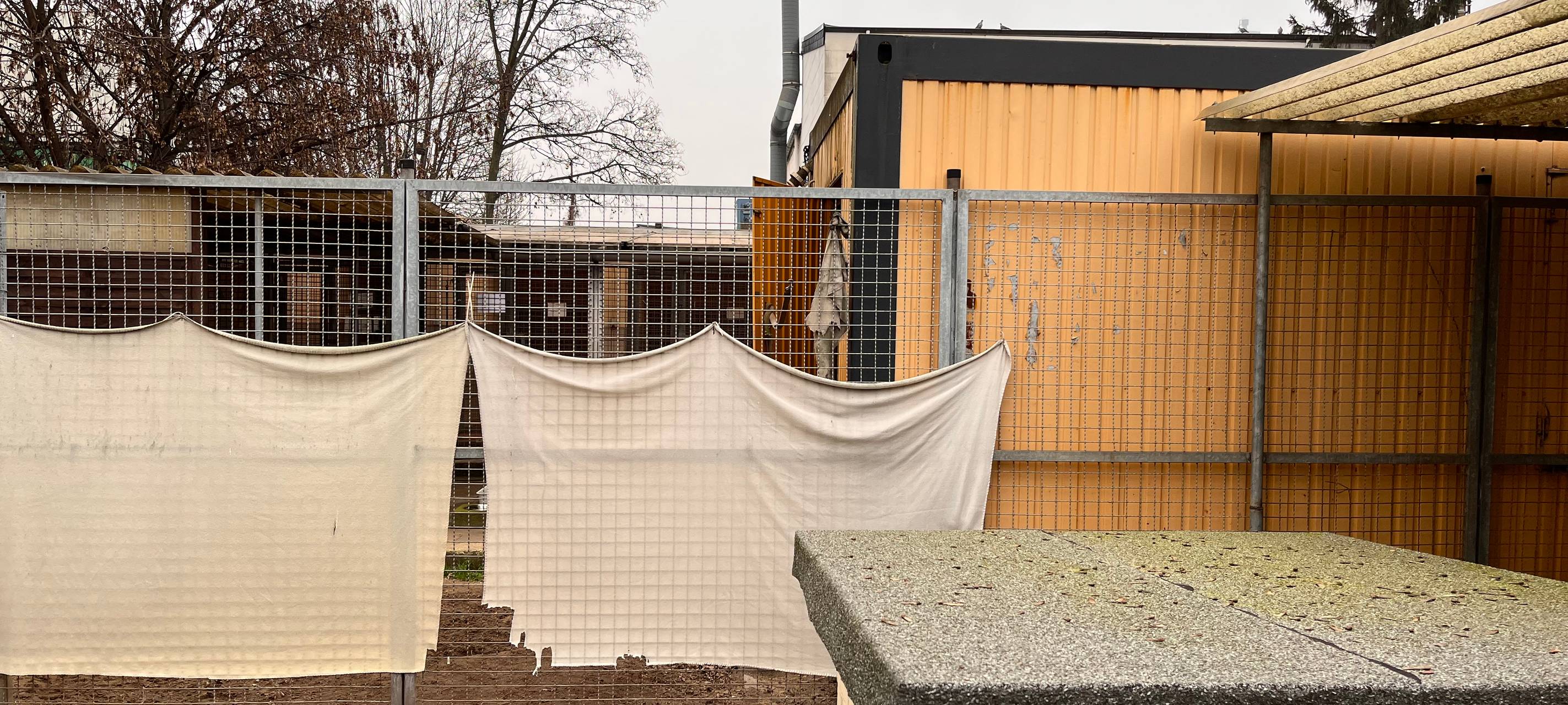 RWO-Fanclub spendet Geld an Duisburger Tierheim