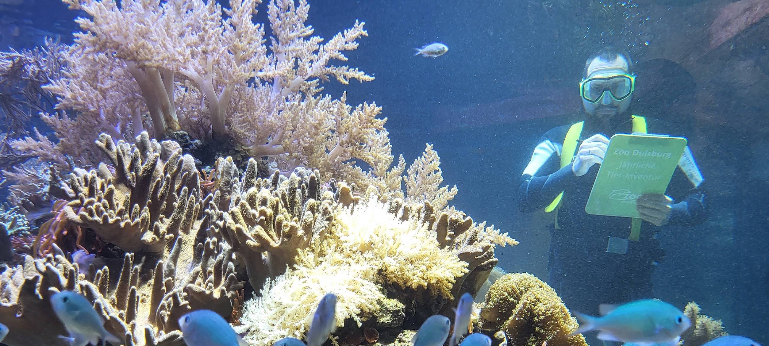 Inventur: So viele Tiere leben im Duisburger Zoo