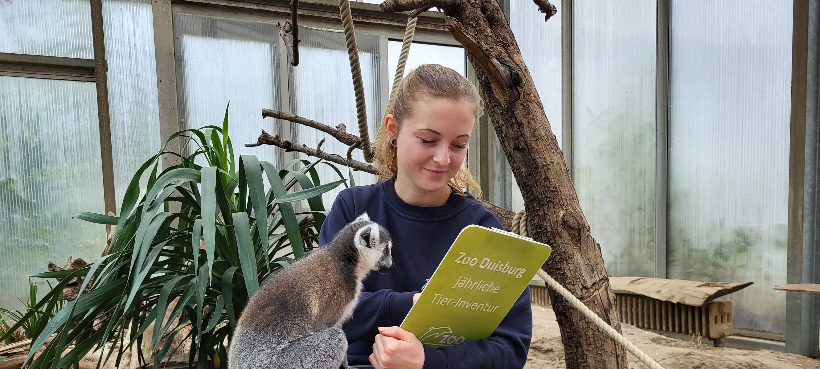 Inventur: So viele Tiere leben im Duisburger Zoo