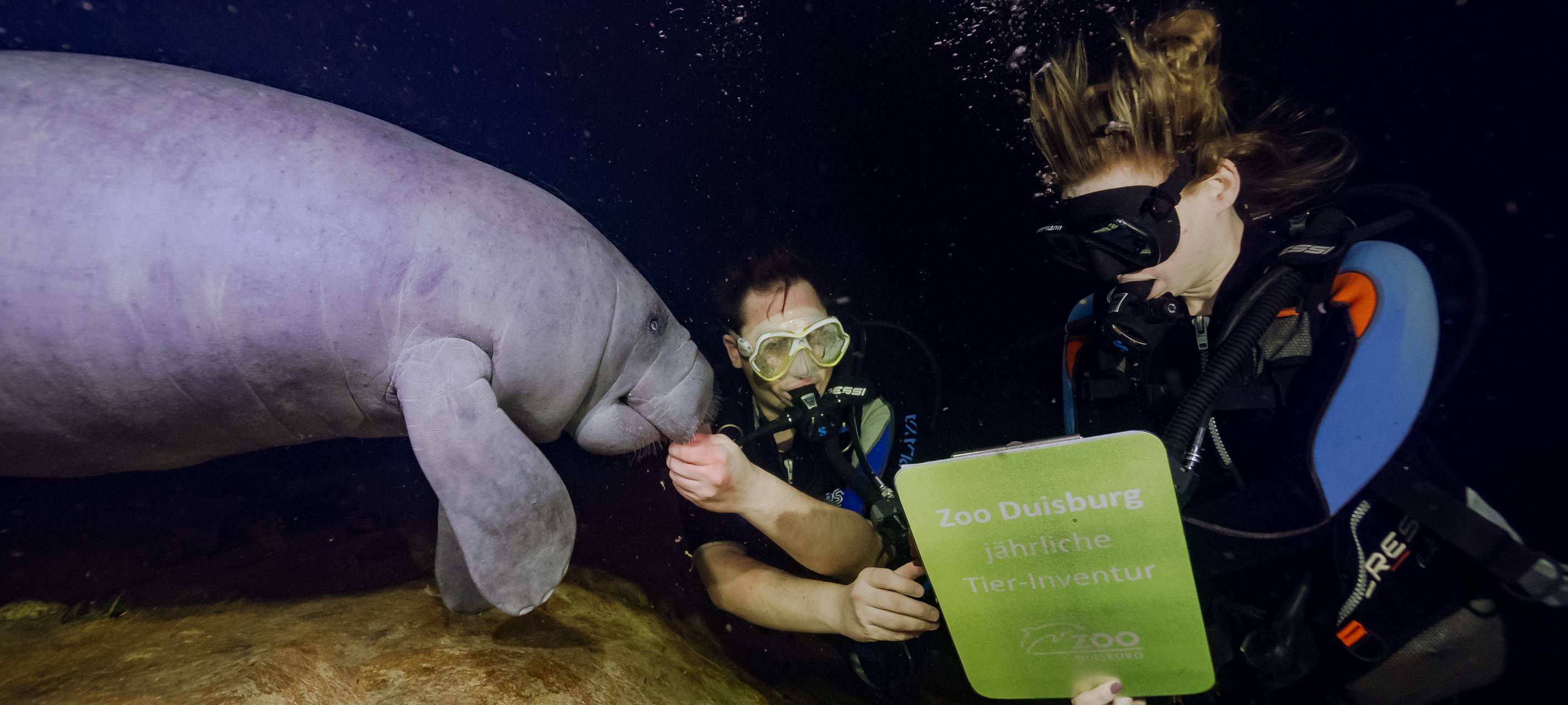 Inventur: So viele Tiere leben im Duisburger Zoo