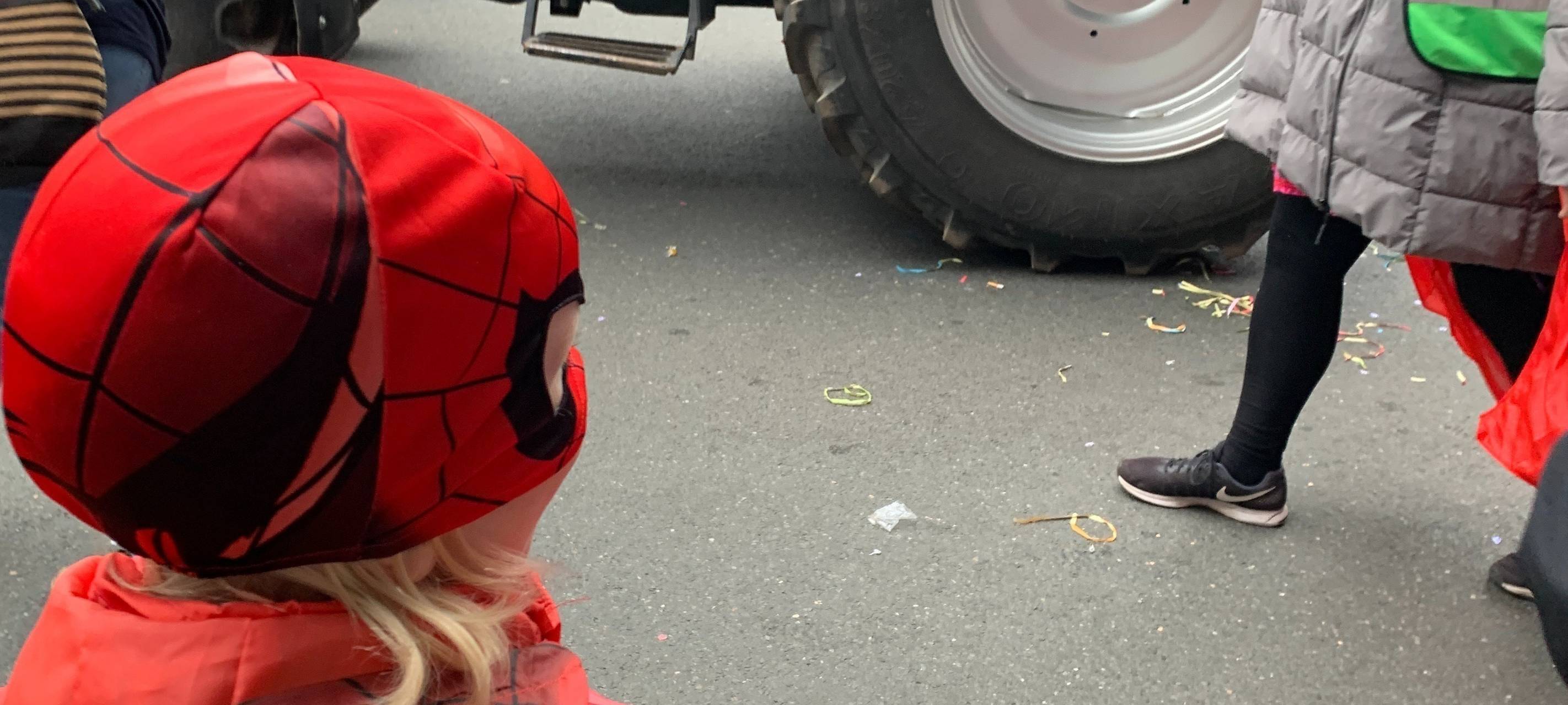 Blutwurstsonntagsumzug in Meiderich