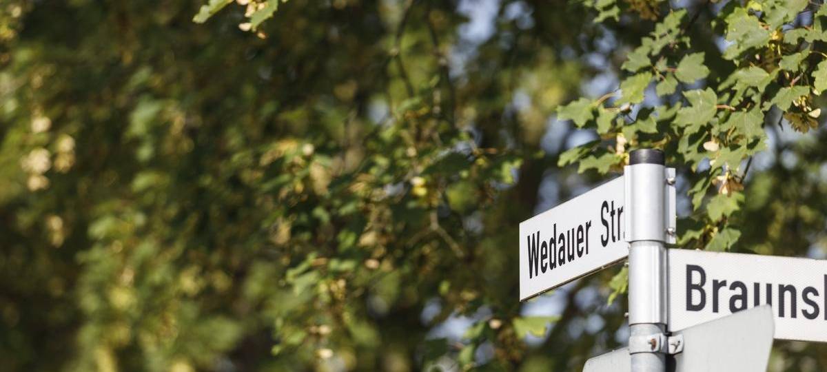 Baumfällungen in Wedau