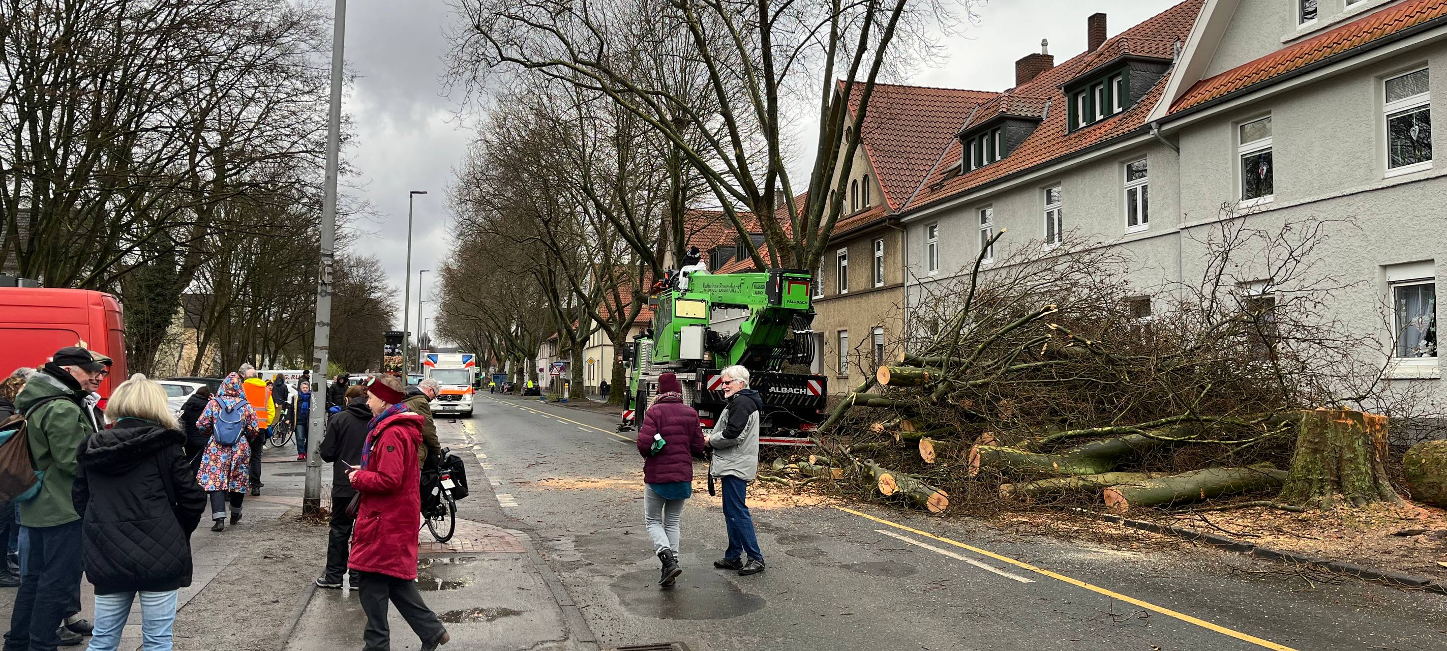 Duisburg-Wedau: Bäume trotz Protest gefällt