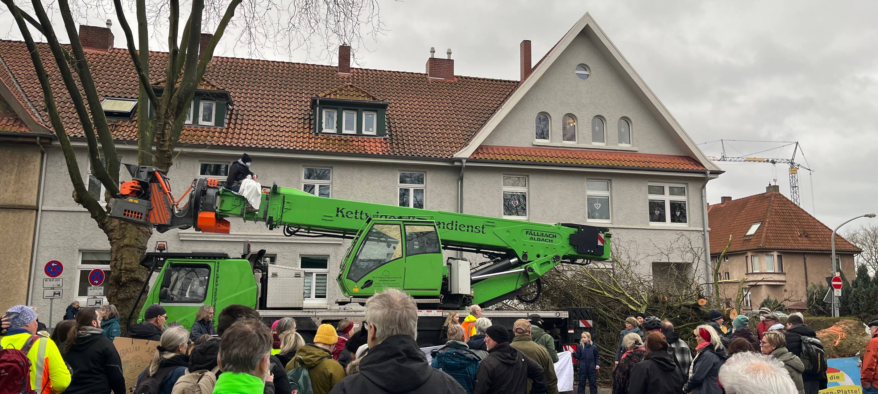 Duisburg-Wedau: Bäume trotz Protest gefällt