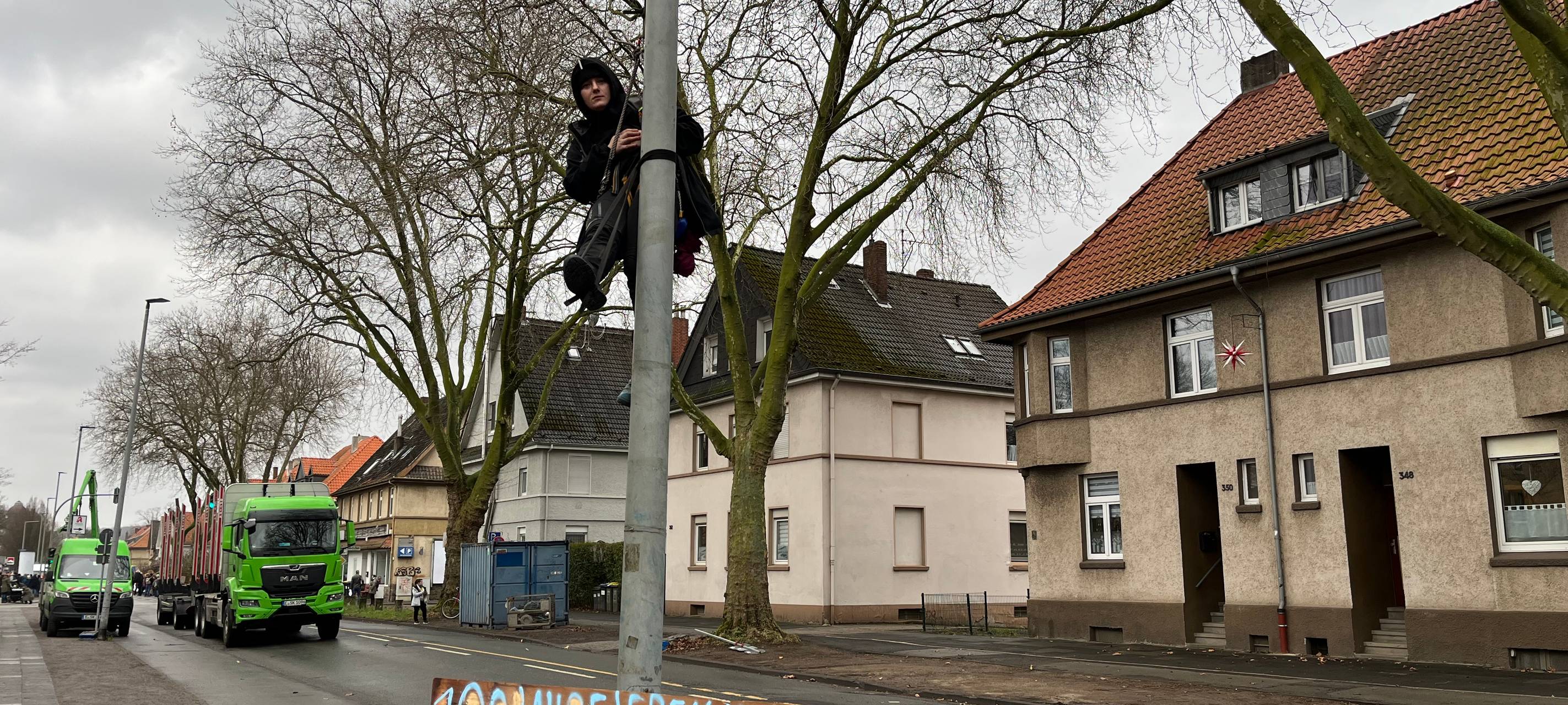 Duisburg-Wedau: Bäume trotz Protest gefällt