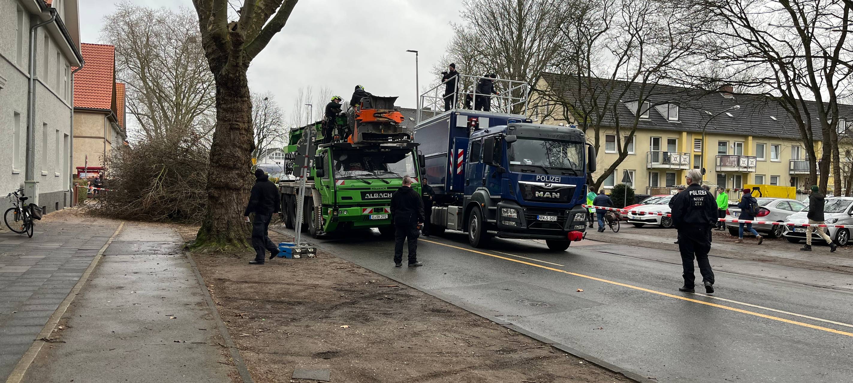 Duisburg-Wedau: Bäume trotz Protest gefällt