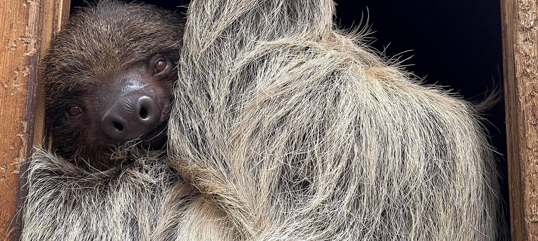 Neuzugang im Duisburger Zoo