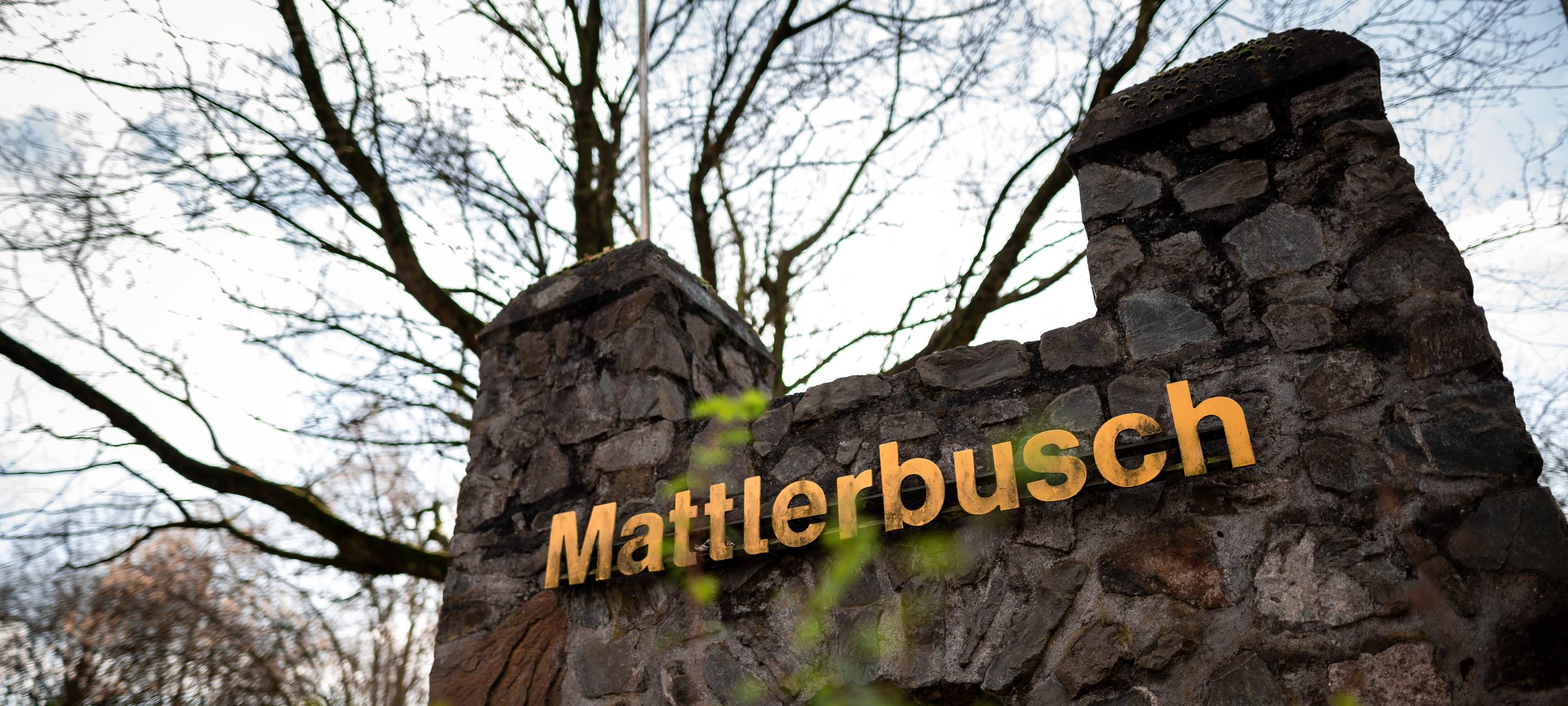 Im Revierpark Mattlerbusch könnt ihr euch eine Auszeit vom hektischen Großstadttrubel gönnen.