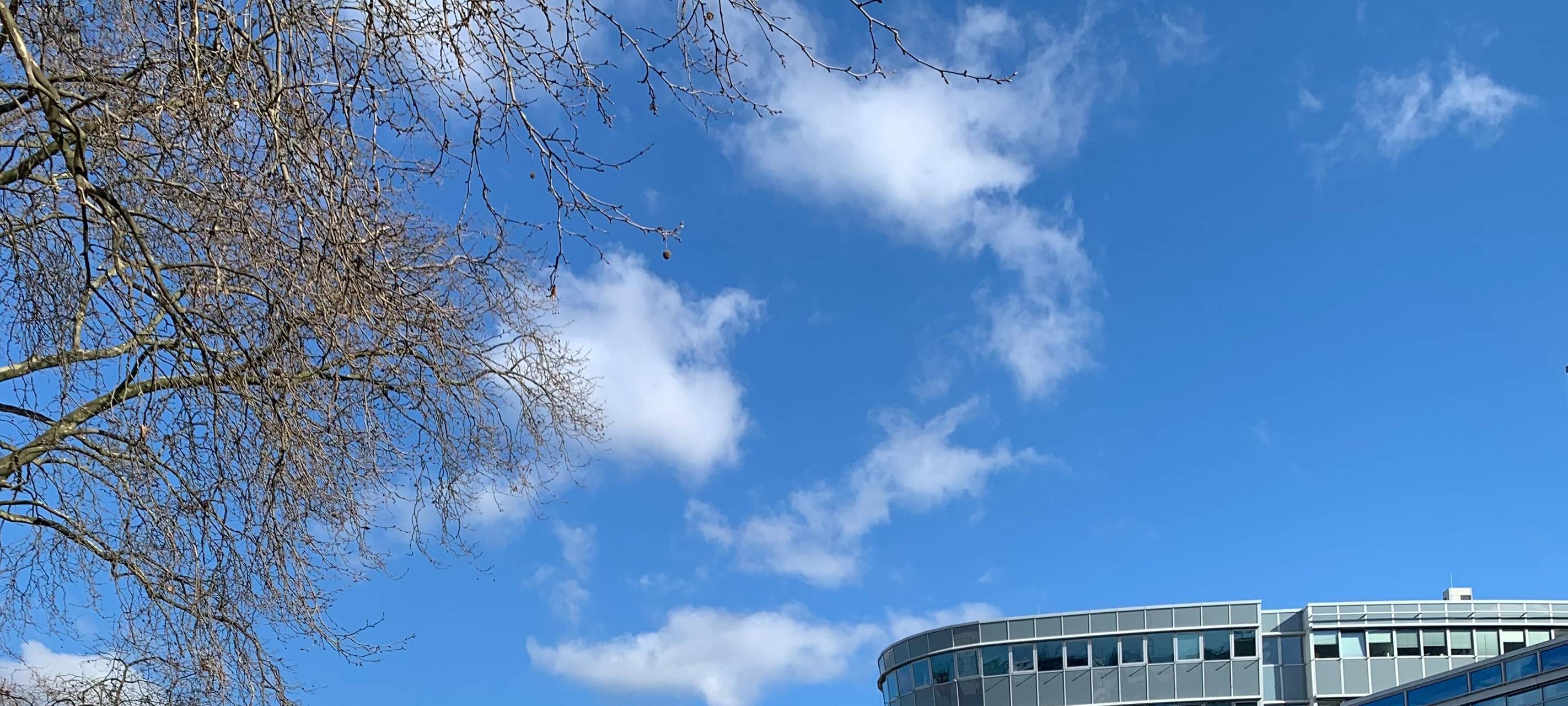 Klimaprotest in der Duisburger Stadtmitte