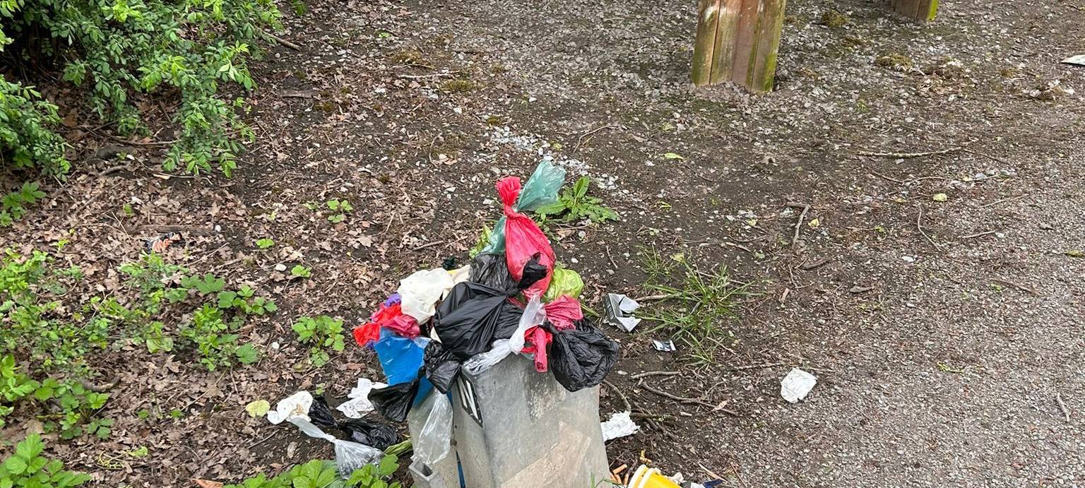 Wenig Mülleimer im Buchenwäldchen: Förster will versuchen, Situation zu verbessern