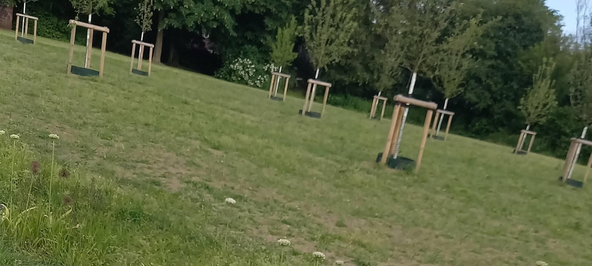 Neue Wildbienenhäuser für Duisburg